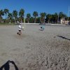 Beach tennis (11)